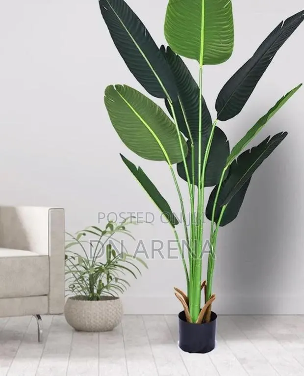 Artificial Banana Plant Size: 120cm High · Photo 1
