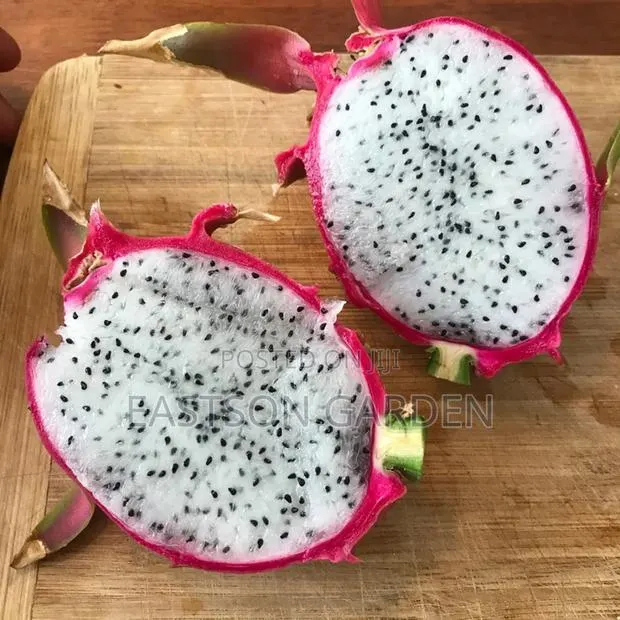 White Vietnam Dragon Fruits Exotic Fruits · Photo 3