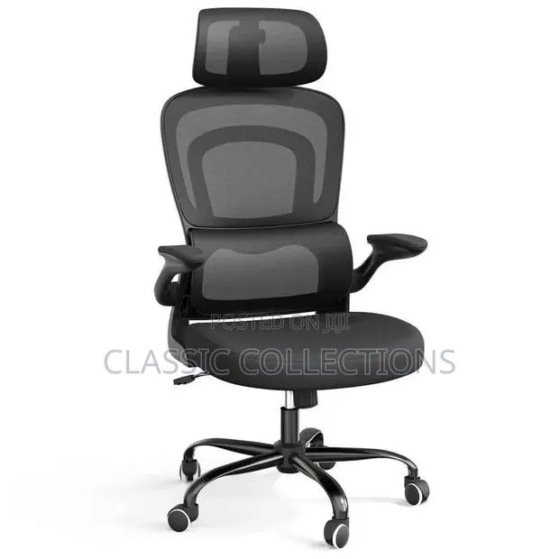 Ergonomic Office Chair-Headrest and Lumbar Support . Adjustable · Photo 1