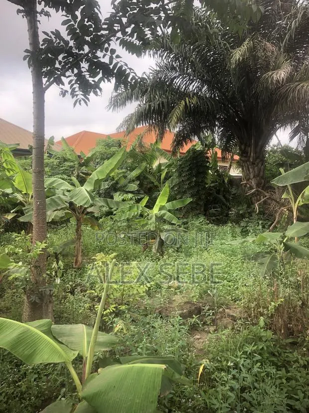 Land for Quick Sale · Photo 1