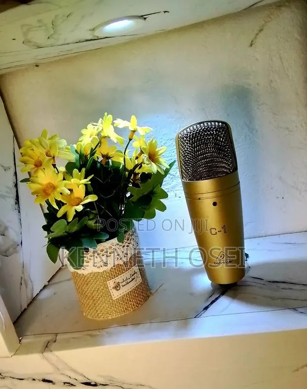 Behringer C-1 Studio XLR Microphone · Photo 1