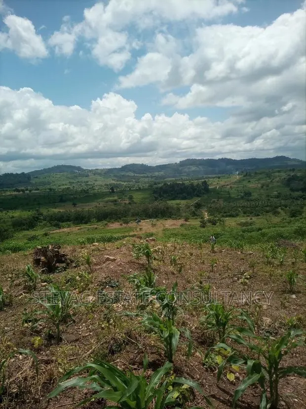 Alpha Properties Estate Land for Sale at Amasaman Obom Ashifla · Photo 1
