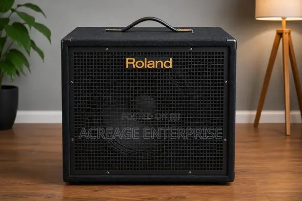 Roland Kc550 Combo · Photo 1