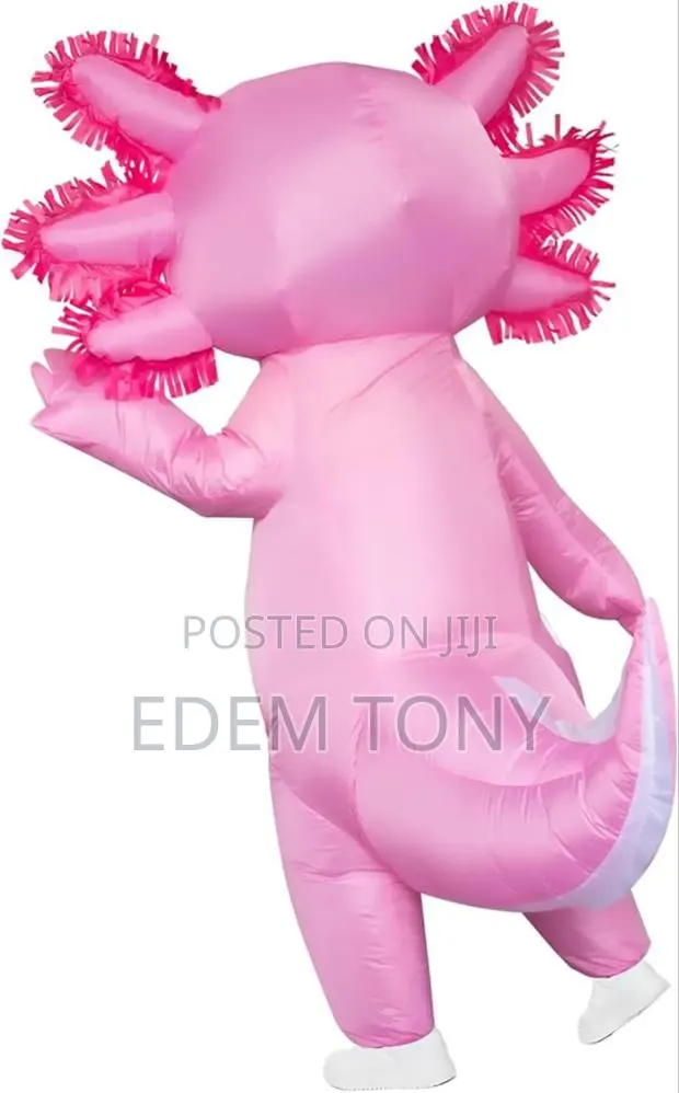 Stegosaurus Inflatable Axolotl Costume for Kids Blow Up Costume · Photo 3