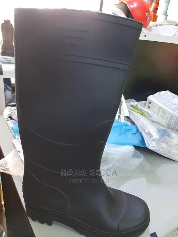 Wellington Boot · Photo 1