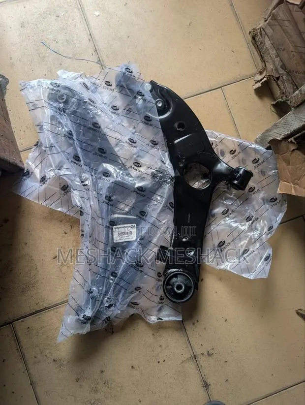 Hyundai Santa Fe Lower Arm Complete 2016 · Photo 1