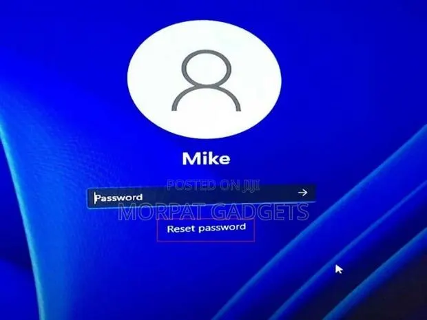 Remove Your Windows 11 Login Password (In 24 Hours) · Photo 1