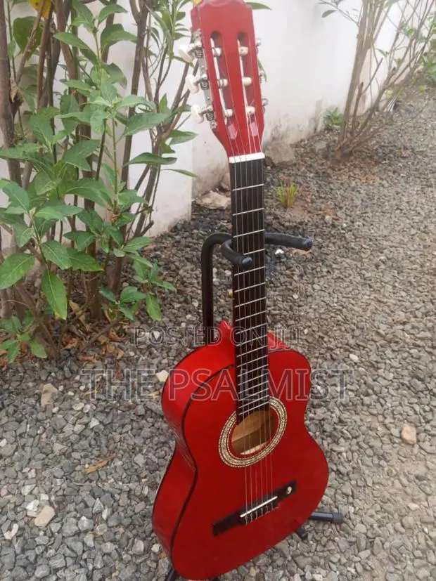 Tenson 3/4 Classical Guitar in a Padded Bag · Photo 1