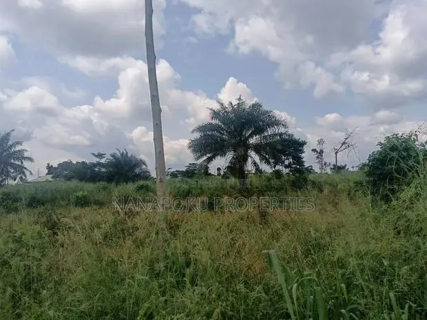 6 Plots of Land for Sale · Photo 1