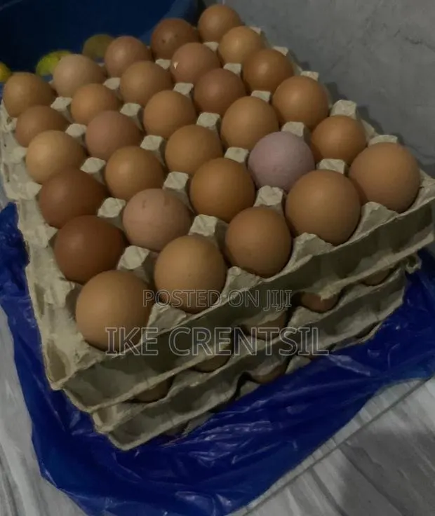 Fresh Farm Eggs-Medium to Large Size · Photo 1