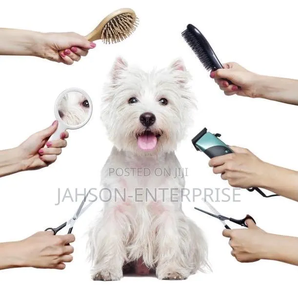 Pet Grooming Services · Photo 4