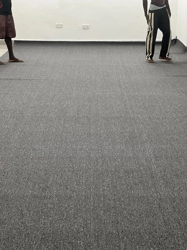 Plain Gray Carpet · Photo 1