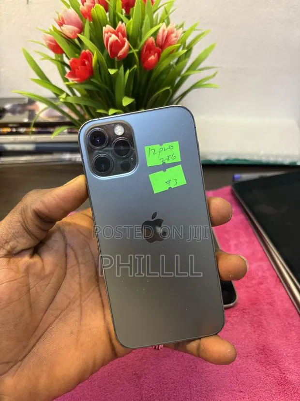 Apple iPhone 12 Pro 256 GB Gray · Photo 1