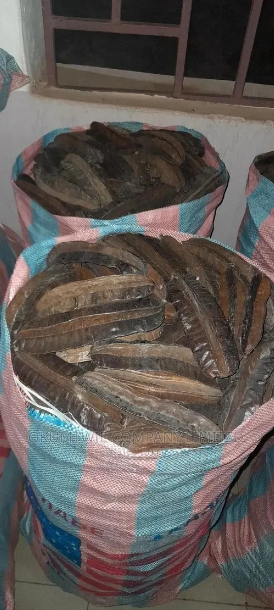 Prekese(Galbanum, Aidan Fuit Or Tetraplaura) For Wholesale · Photo 1