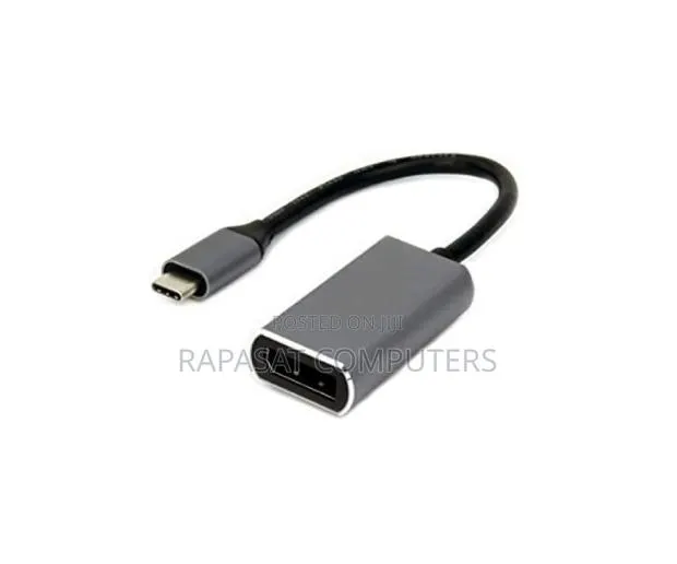 Type C Male to Dp Female Converter · Photo 1