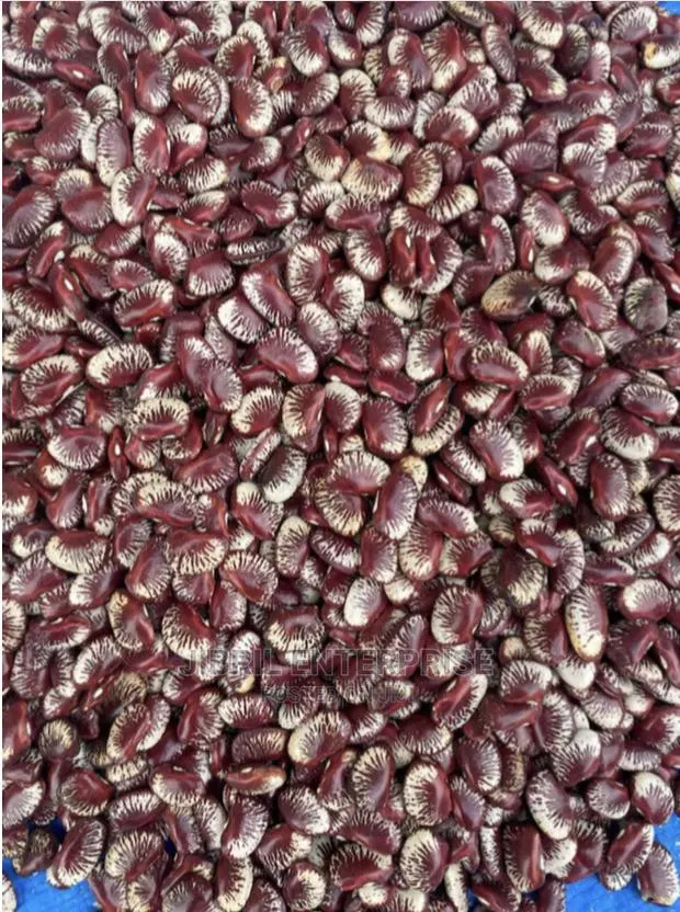 Madagascar Lima Beans (Phaseolus Lunatus) · Photo 1