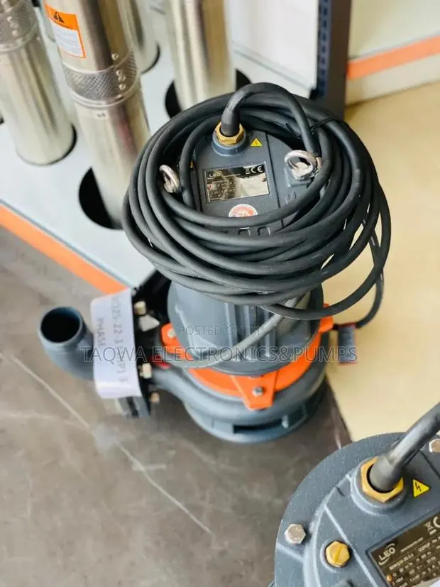 Powerful Leo 65wq25-22-3 4hp Sewage Pump · Photo 1