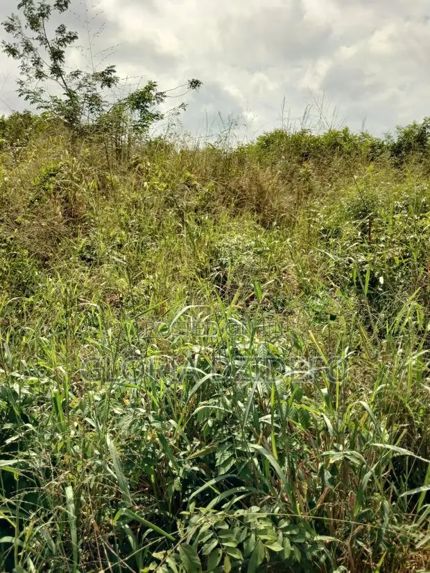 Land at Ho for Sale at a Negotiable Price · Photo 1