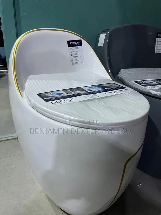 Sleek Wc With Gold Design