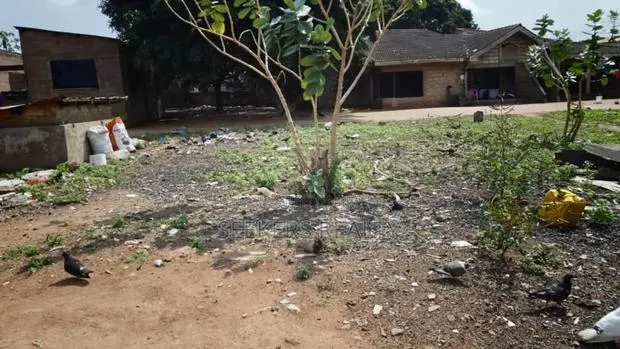 1 Acre Land (6 Plots) Title Certified Forsale at Adenta · Photo 1