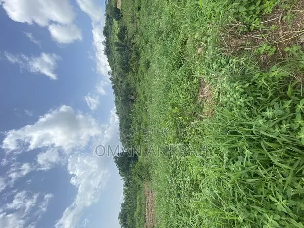 1plot of Land Mountain Top · Photo 1