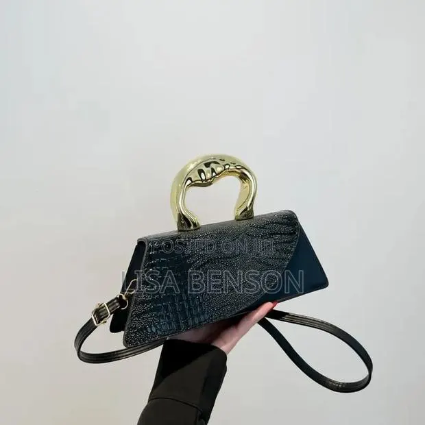 Luxury Ladies Handbag · Photo 1
