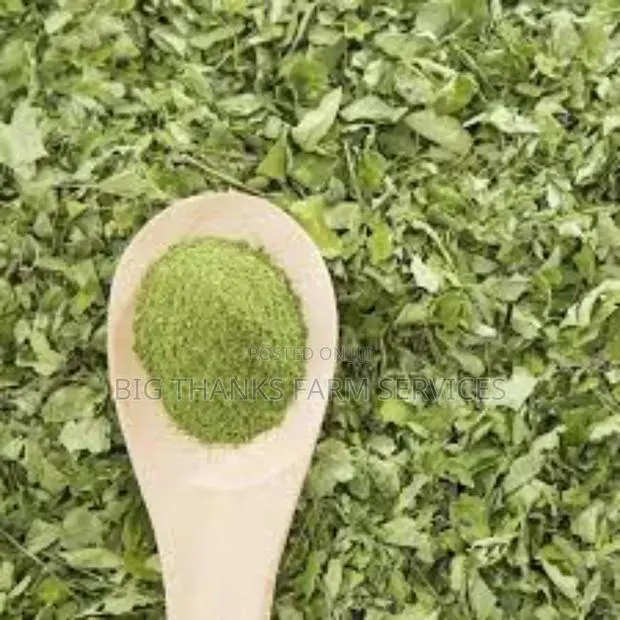 1kg,Whole Moringa, Wholesale/Retail · Photo 2