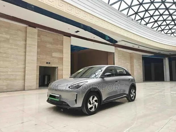Geely Xingyuan 2026 Gray · Photo 1