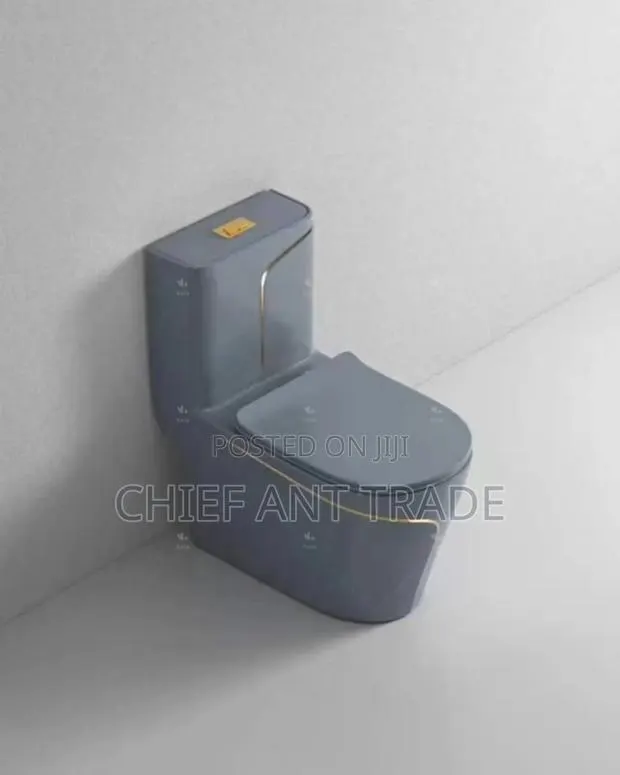 Grey Toilet Seat Wc Water Closet Wc W655 · Photo 1