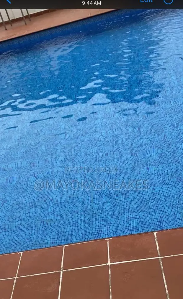 Swimming Pool Attendant and Cleaning · Photo 1