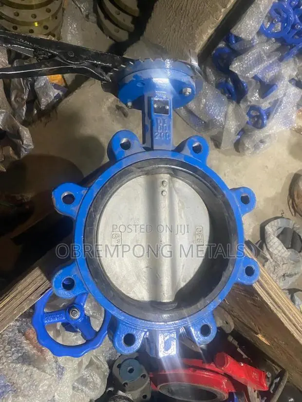 8" Lug Butterfly Valve Stainless Tong Pn16 · Photo 1