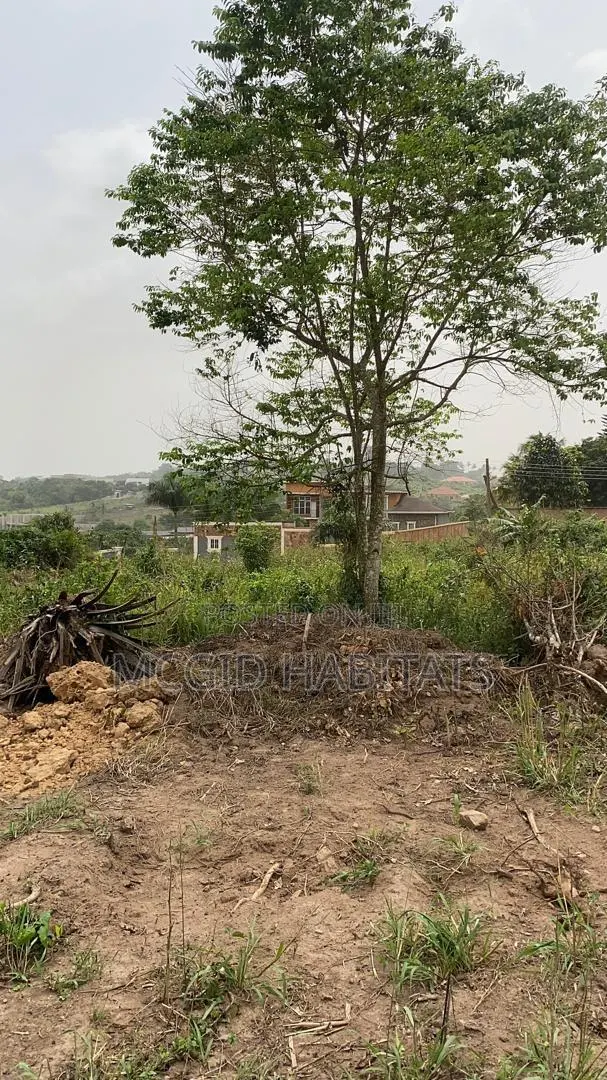 Serviced Plot of Land for Sale at Peduase Lodge
