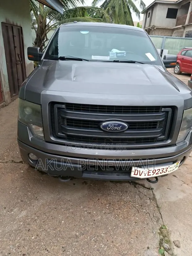 Ford F-150 2013 Gray · Photo 1