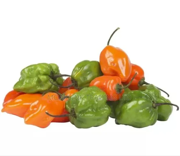 Green Pepper (Kpakposhito) · Photo 1