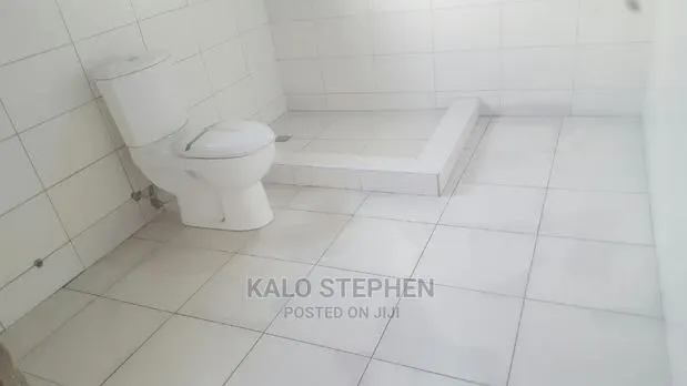 Professional Tiles Layer · Photo 1