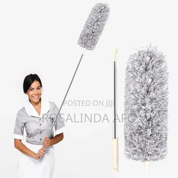 Adjustable Dust and Cobwebs Remover · Photo 1