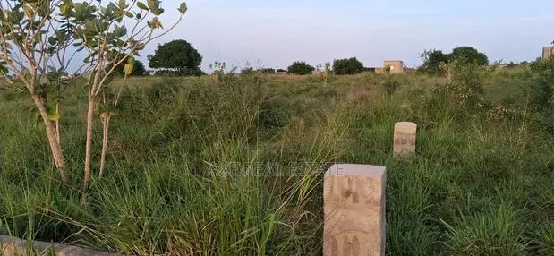 Lands + Proper Utility Connections = Prampram · Photo 1