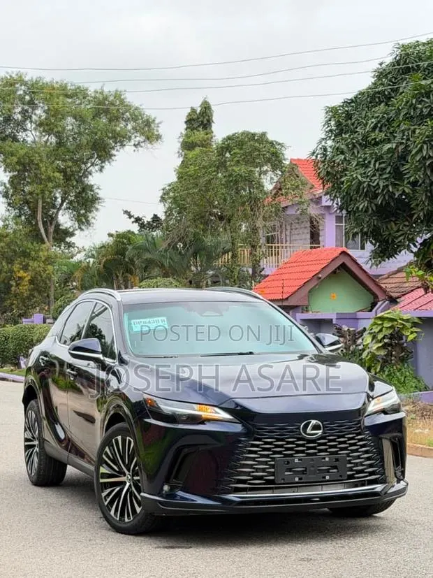 Lexus RX 350 2024 Blue · Photo 1