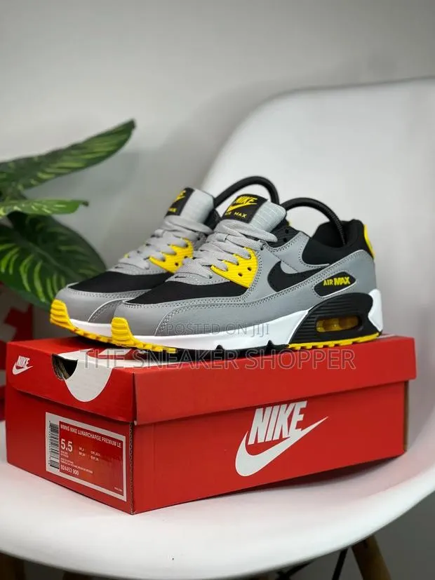 Airmax 90 Pale Grey Sneakers · Photo 1