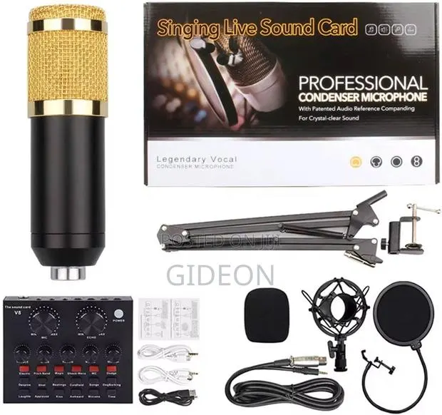 Professional Condenser Microphone V8 Soundcard · Photo 1