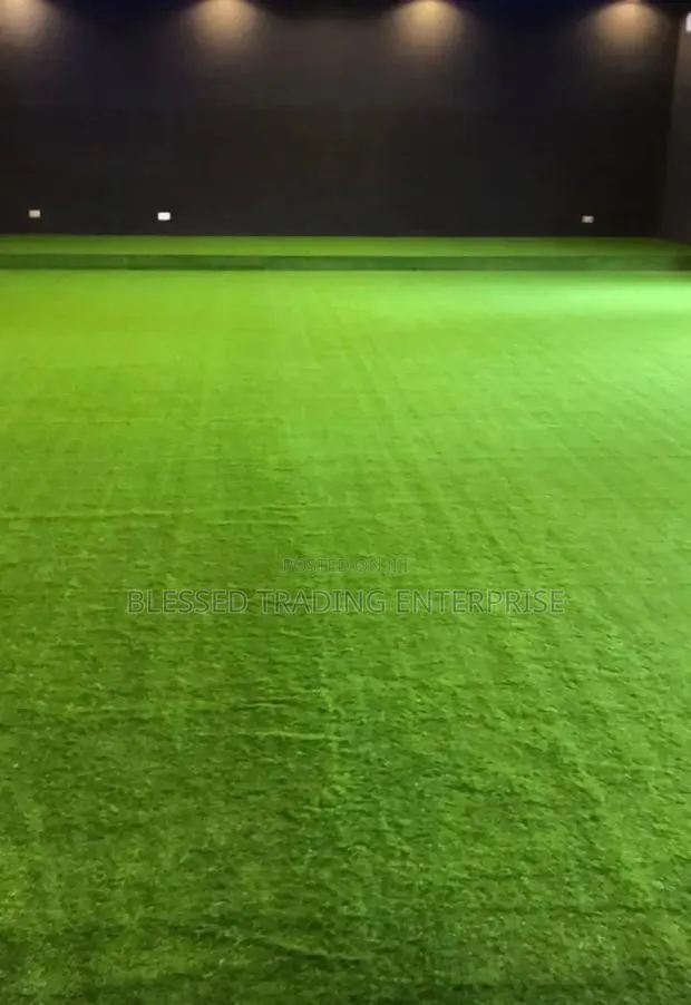 Carpet Grass · Photo 1