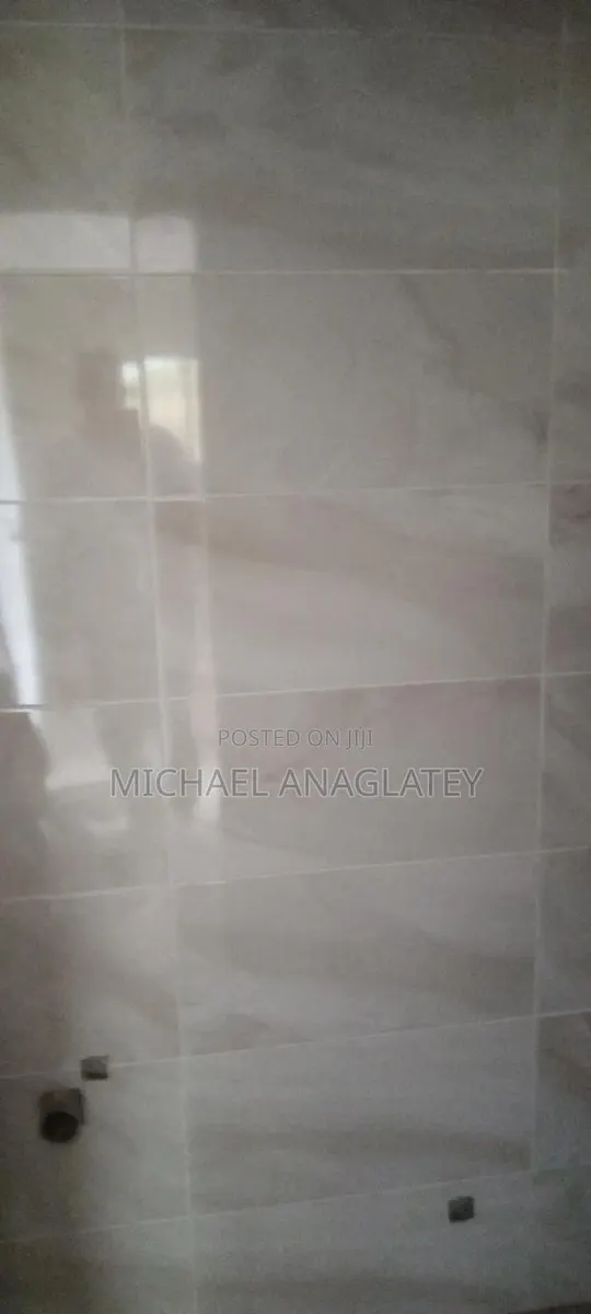 Professional Tile Layer · Photo 1