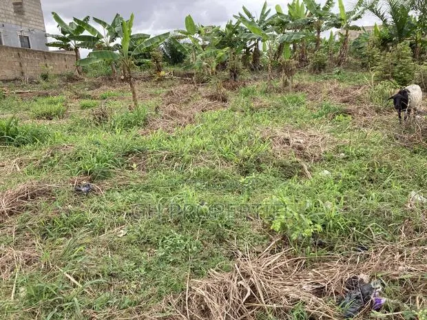One Full Plot for Sale at Kaase Oti. · Photo 1