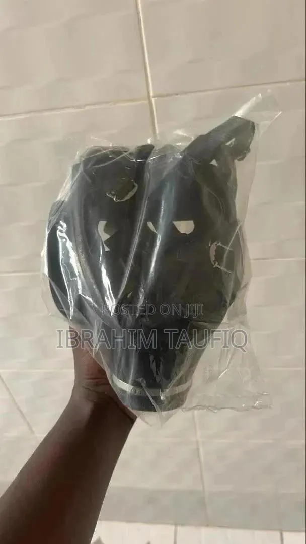 Comfortable Full-Face Gas Mask + Free Dog Woven Blue and Black Leash · Photo 1