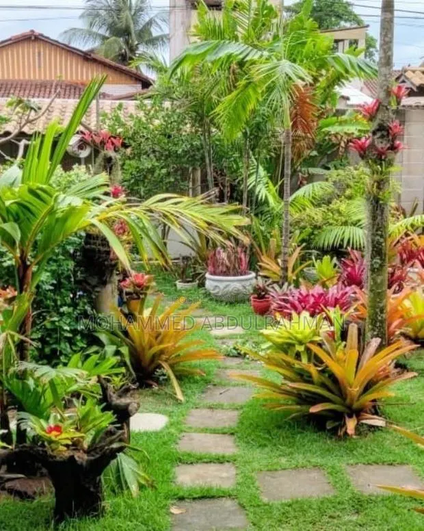 The Nations Best Gardeners · Photo 1