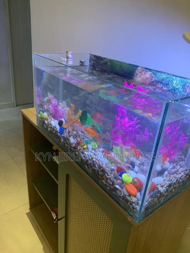 Guy Guy Tabletop Aquarium · Photo 1