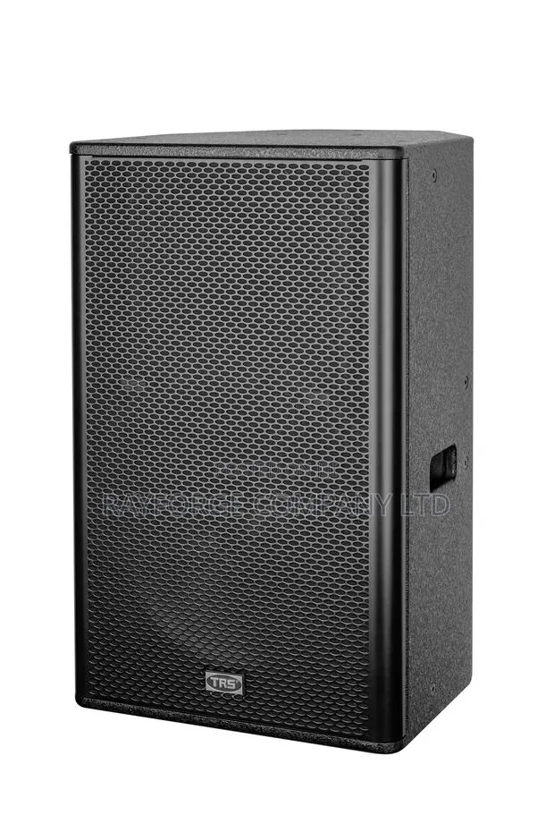 15 Inch Two Way Professional Speaker · Photo 1