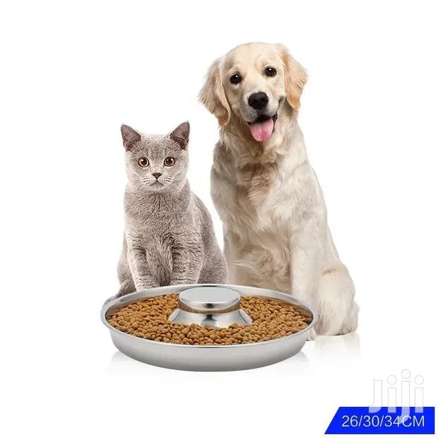 Puppy Saucer · Photo 1