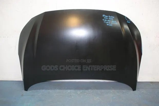 Bonnet Sentra 2013-2014-2015 · Photo 1