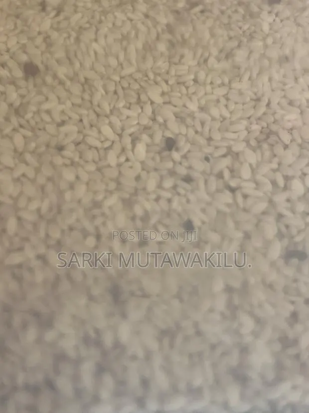 Sesame Seeds · Photo 4